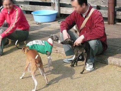 挨拶まわり中。